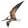 1579276531_2-3 8.png